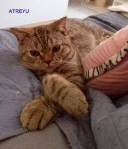 Atreyu